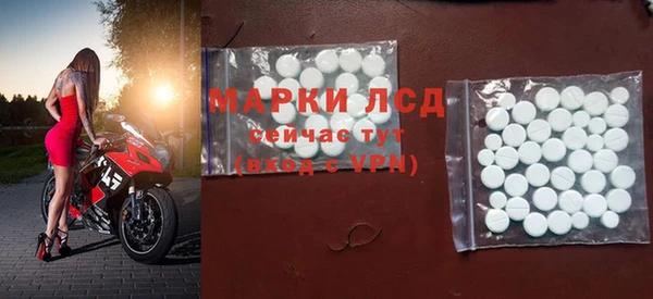 ешки Новодвинск