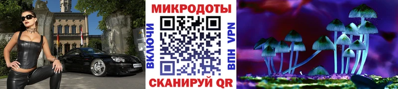 где найти   Дзержинский  Псилоцибиновые грибы Magic Shrooms 